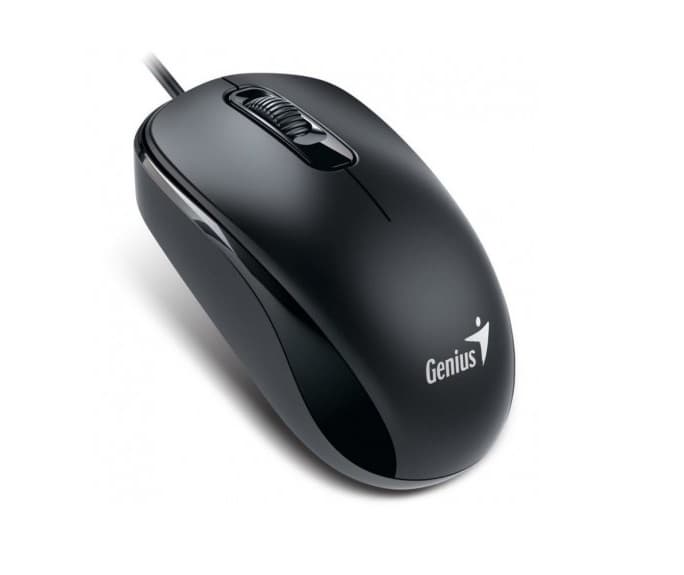 Mouse Genius DX-110 USB Negro